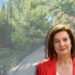 Φωτεινή Κούβελα: «Να Διαφυλάξουμε Τον Μοναδικό Πνεύμονα Πρασίνου Του Παλαιού Φαλήρου»