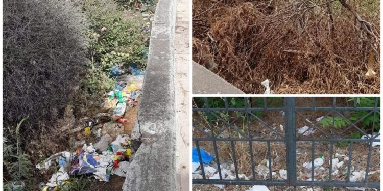 Αποκαρδιωτικές Εικόνες Στο Πάρκο Φλοίσβου